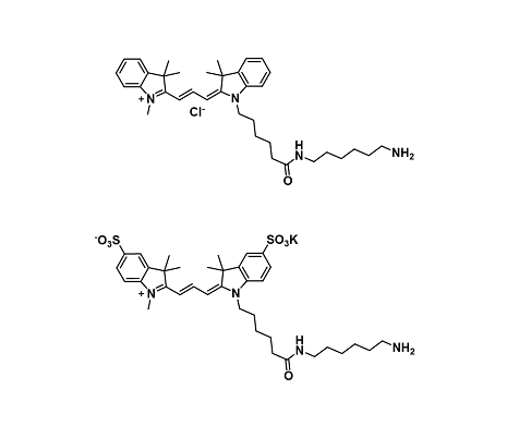 Cyanine amine